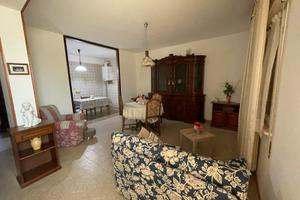 Casa singola zona taglio di Po