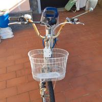 Bicicletta elettrica