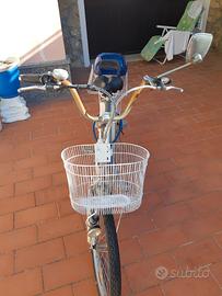 Bicicletta elettrica