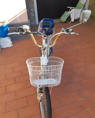 Bicicletta elettrica