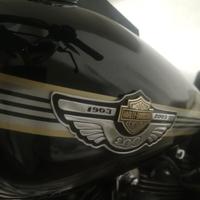 Serbatoio softail harley davidson 100th in parte 