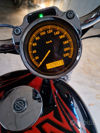 Harley-Davidson 1200 Sportster - Anima custom, sti