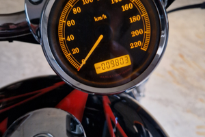 Harley-Davidson 1200 Sportster - Anima custom, sti