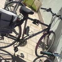 Bici Gazelle Avigno – City/Trekking Bike 21V