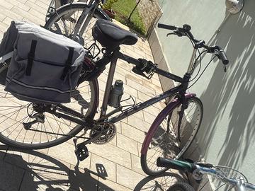 Bici Gazelle Avigno – City/Trekking Bike 21V