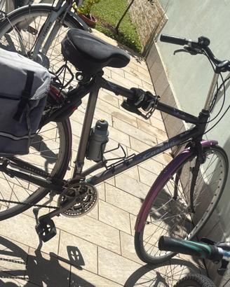 Bici Gazelle Avigno – City/Trekking Bike 21V
