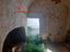 Immagine 26