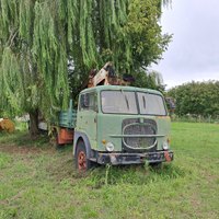 Fiat 683,ribaltabile, gru