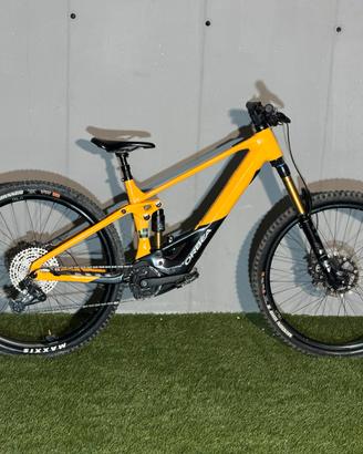 Orbea wild 2024