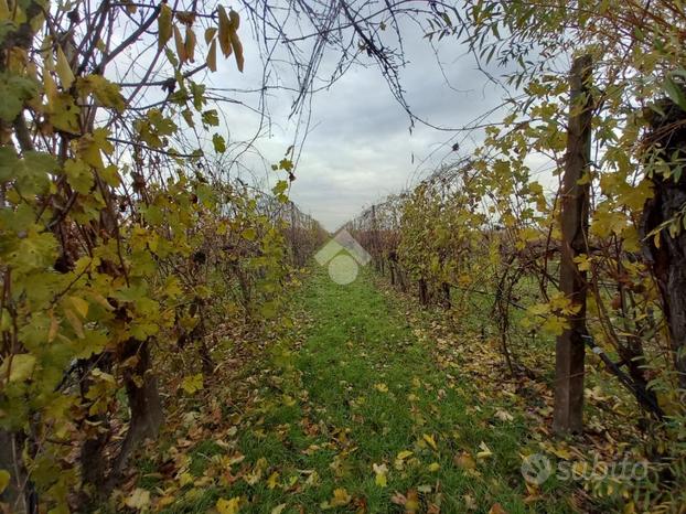 TER. AGRICOLO A FORLÌ