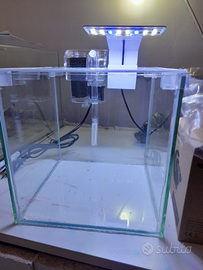 Acquario completo più betta