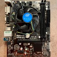 SCHEDA MADRE ASROCK H81M-HDS