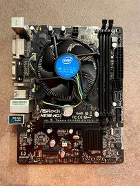 SCHEDA MADRE ASROCK H81M-HDS