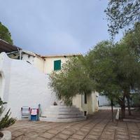 Perdesali portocolumbu Pula