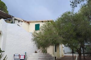 Perdesali portocolumbu Pula