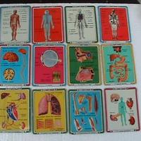 coll, completa figurine latta Corriere dei Piccoli