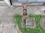 Immagine 1