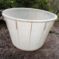 mastello per vendemmia