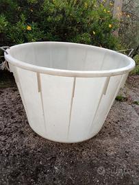 mastello per vendemmia