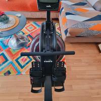 vogatore valuto permuta 