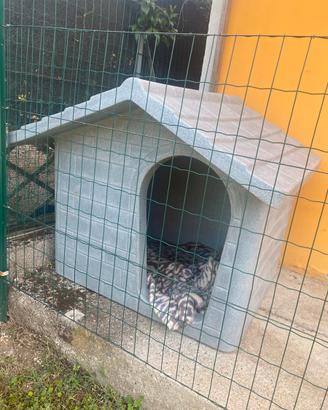 Cuccia per cani taglia media/grande