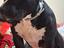 Immagine 1