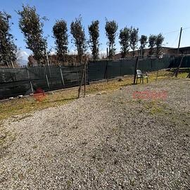 Magazzino Pistoia [Cod. rif 3300409VCG]