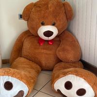 Orso peluches