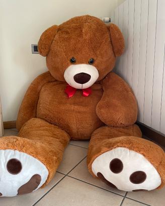 Orso peluches