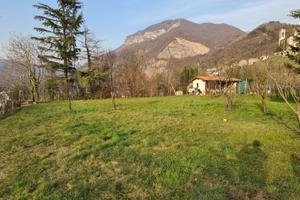 Terreno edificabile, agricolo e bosco