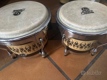 Bongos Latin percussion