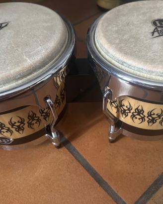 Bongos Latin percussion