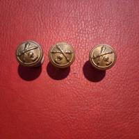 Bottoni a vite Regio Esercito