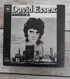 Vinile 45 giri David Essex 
