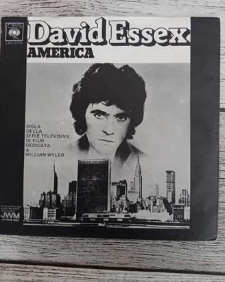 Vinile 45 giri David Essex 