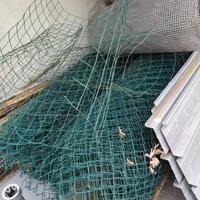 rete pali e cancelletto 