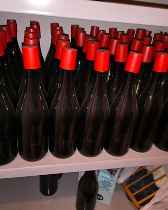 bottiglie vuote per vino