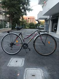 bicicletta Vicini 