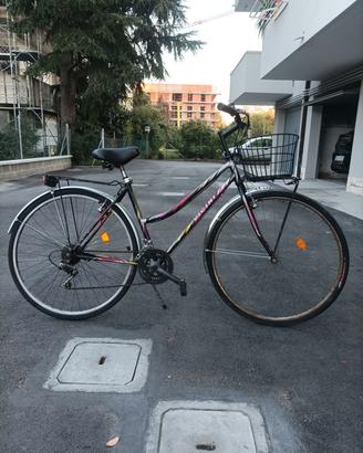 bicicletta Vicini 