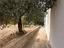 Immagine 12