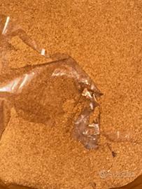 Graniglia vegetale per sabbiatura 4 kg