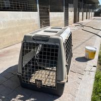 Trasportino per cani.