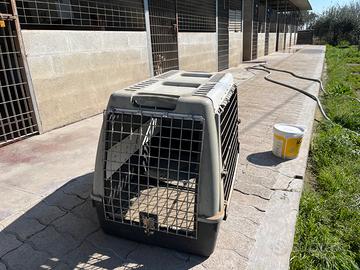 Trasportino per cani.