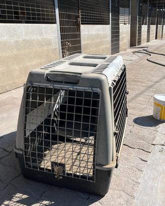 Trasportino per cani.