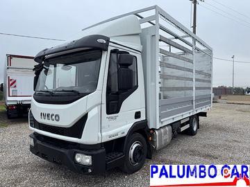 Iveco 80E22 Euro 6 con cassone centinatio 5.30