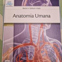 Anatomia Umana