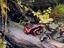 Immagine 4