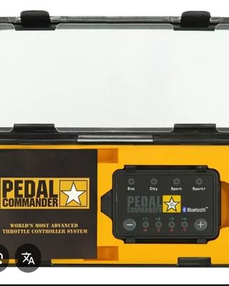 Pedal Commander