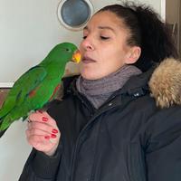 Pappagallo Ecletto Baby 2025