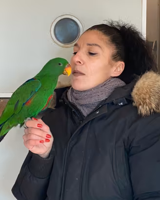 Pappagallo Ecletto Baby 2025